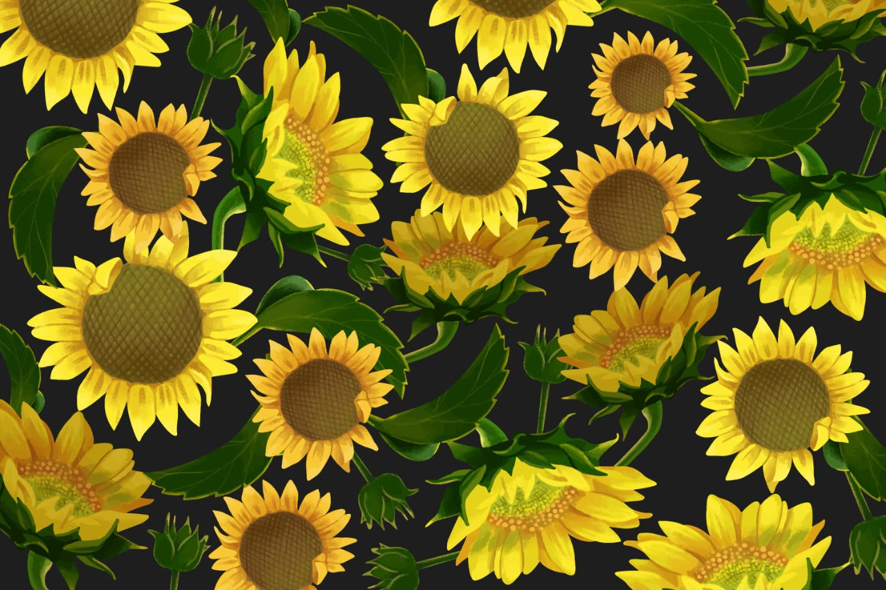 Buy SK-11 Sunflower Skirt Online Pakistan Qasim Yaqoob