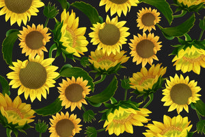 Buy SK-11 Sunflower Skirt Online Pakistan Qasim Yaqoob